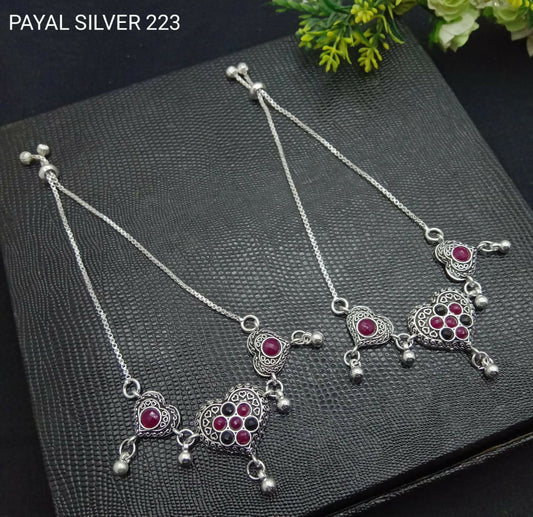 payal silver0223 (1)
