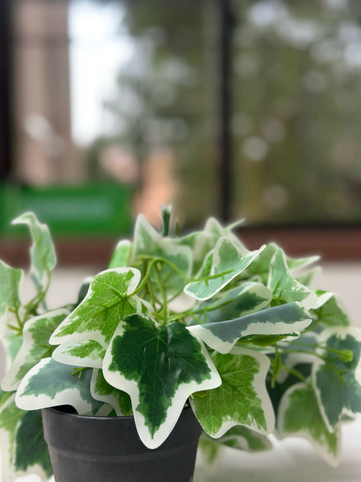 WhatsApp Image 2025-04-14 at 15.42.12