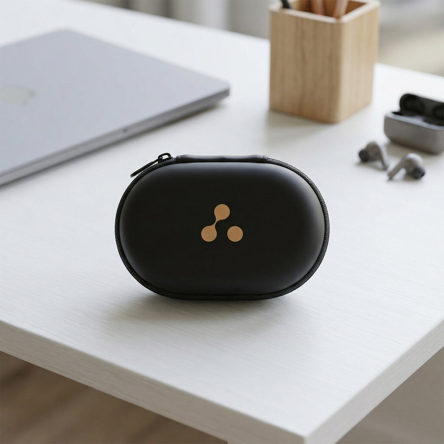 Portable earphone carrying case