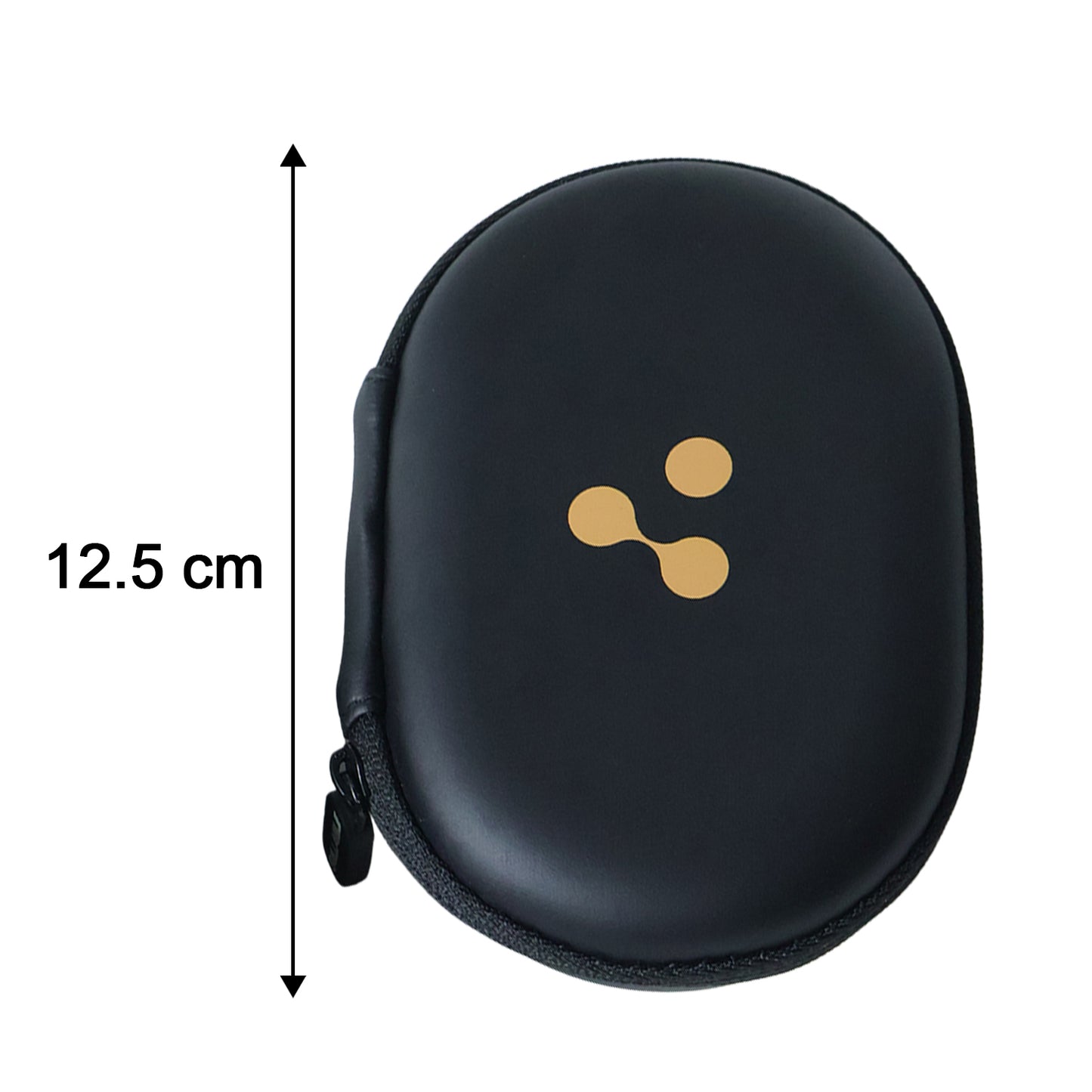 earbud carrying protective case
