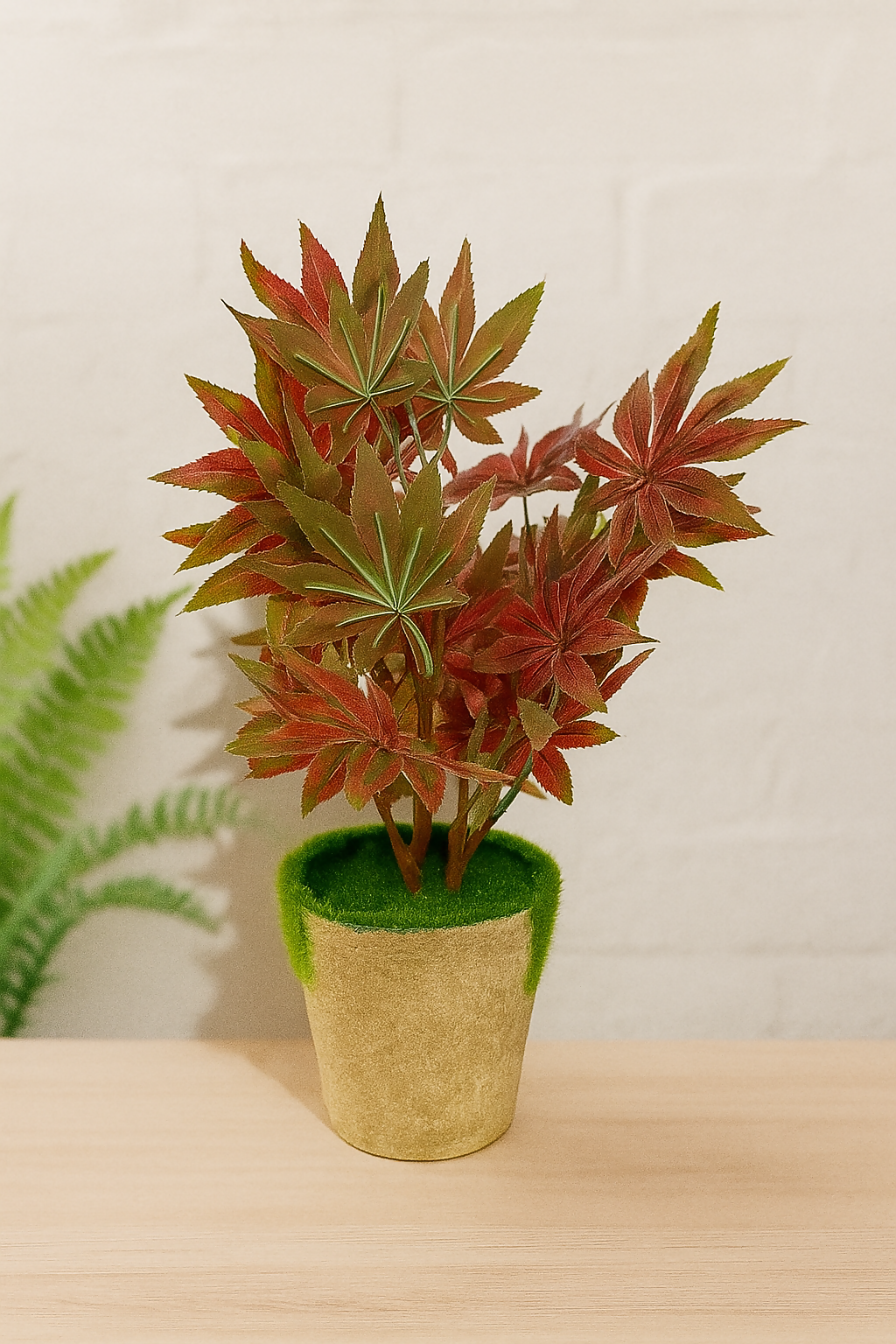 8DD59F55-5D4B-4146-B611-CAC1CD86F7D8