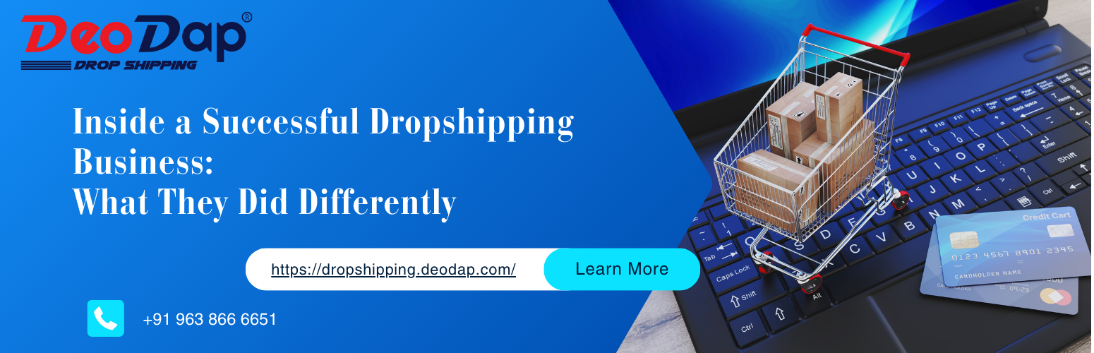 Inside a Successful Dropshipping Business: What They Did Differently