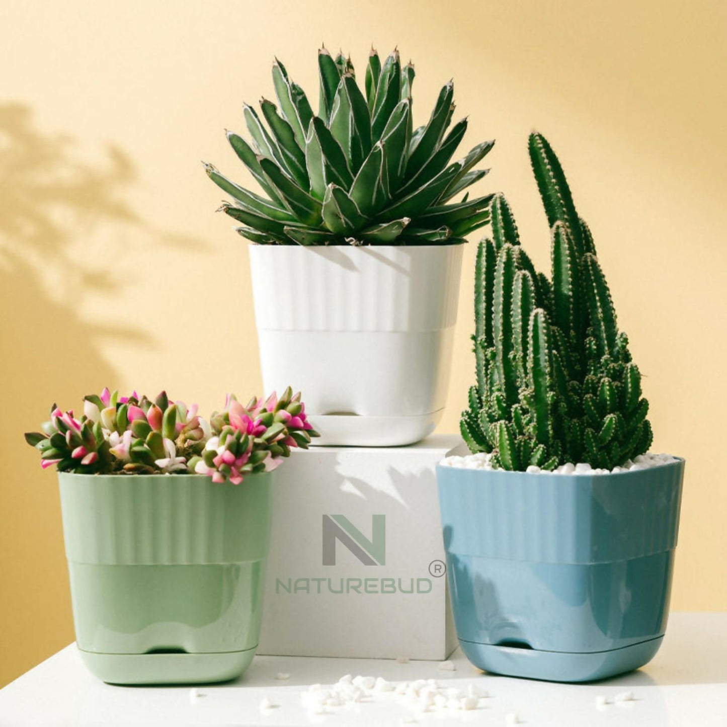 ELITEGROW SQUARE FLOWER POT (PACK OF 5)