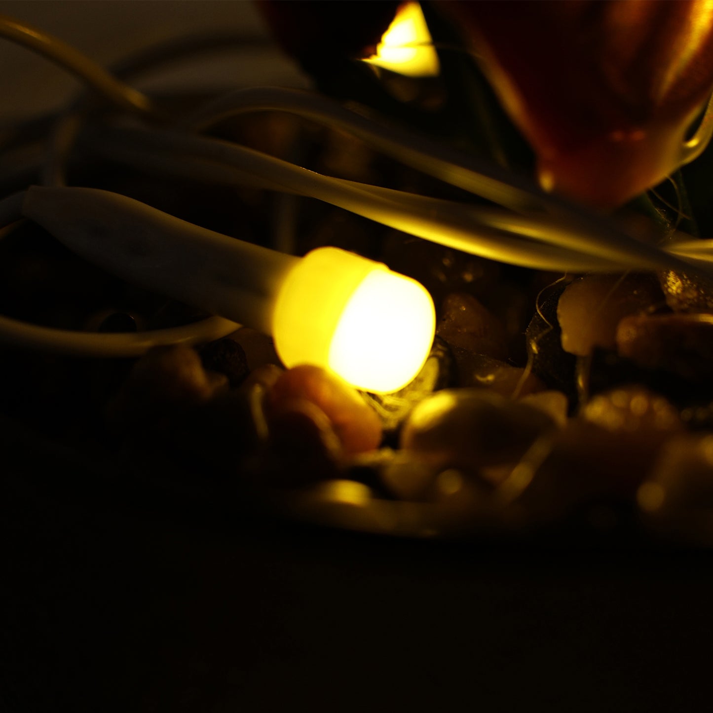 Warm LED Decorative String Light (8 Meter)