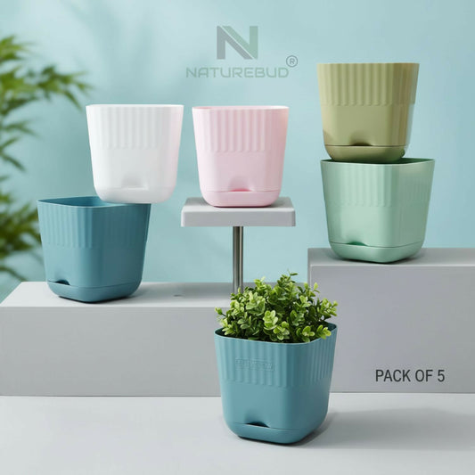 ELITEGROW SQUARE FLOWER POT (PACK OF 5)