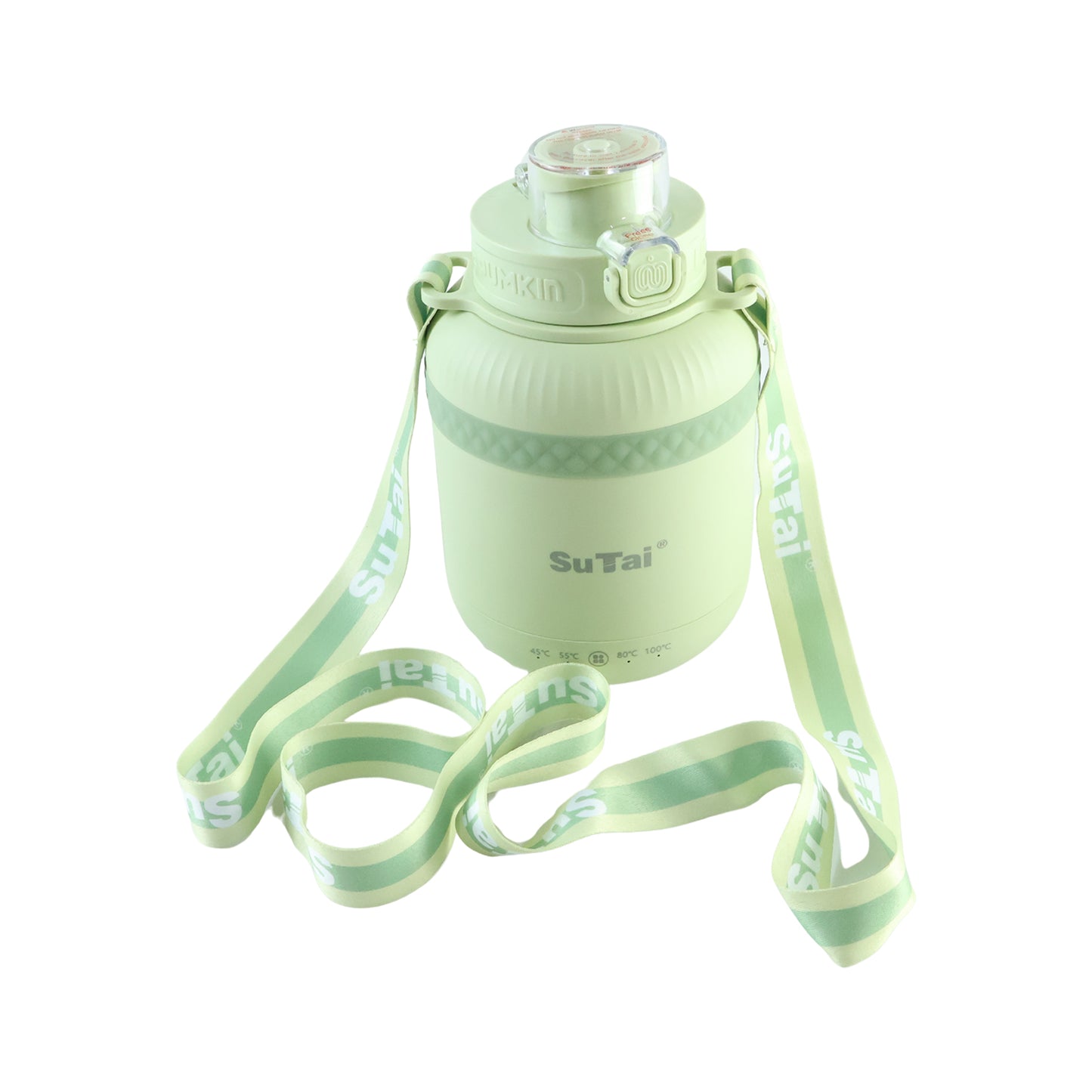 Portable Electric Kettle 600ml, Travel Water Boiler Bottle with Temperature Control (1 Pc)