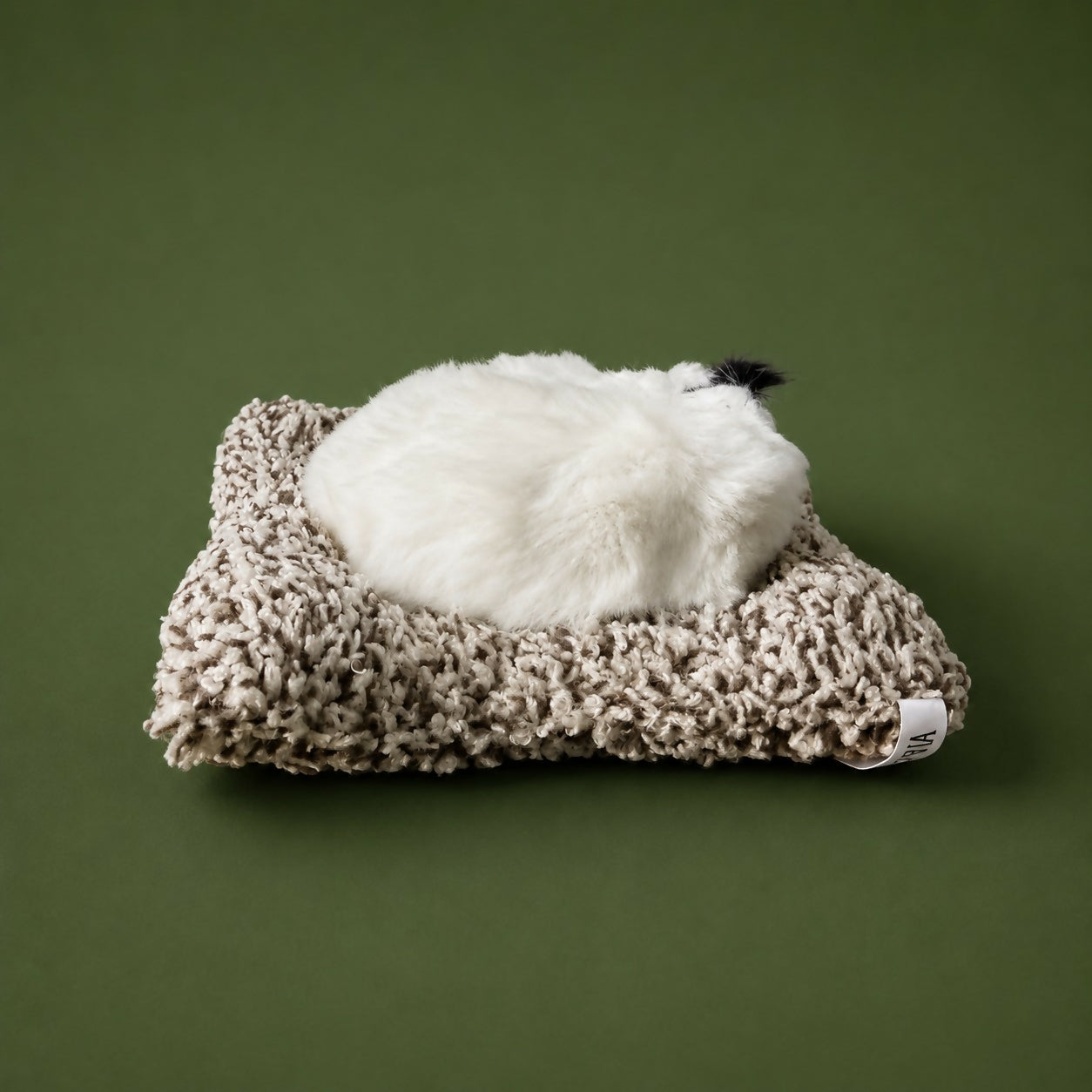 Cute sleeping cat plush decorating office desk