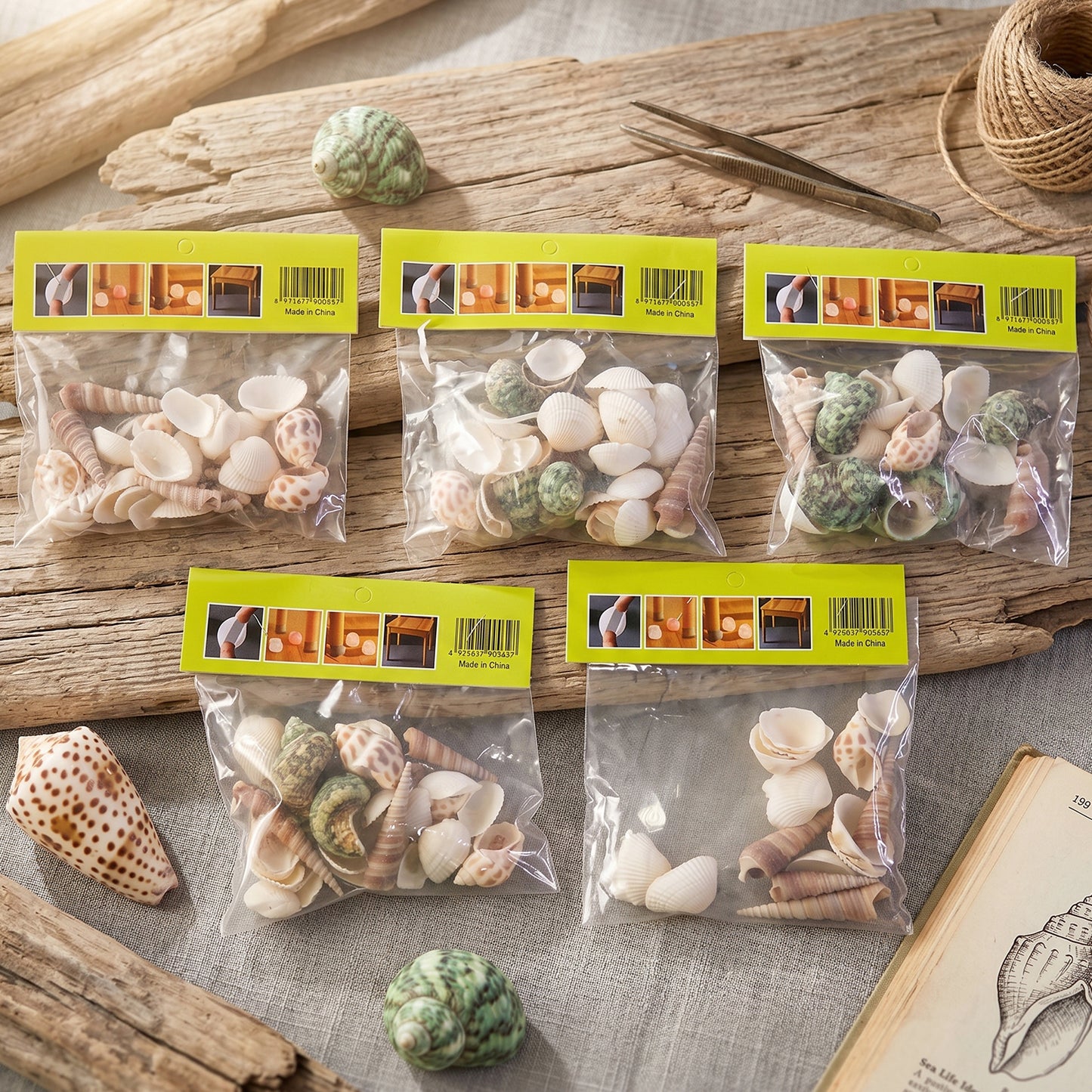 Natural Decorative Sea Shells Set (1 Set)
