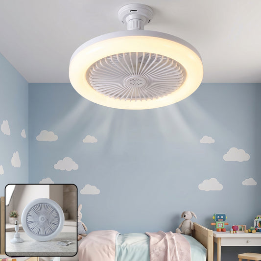 2 in 1 LED ceiling fan light