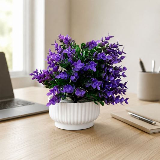 Decorative-Plant-01
