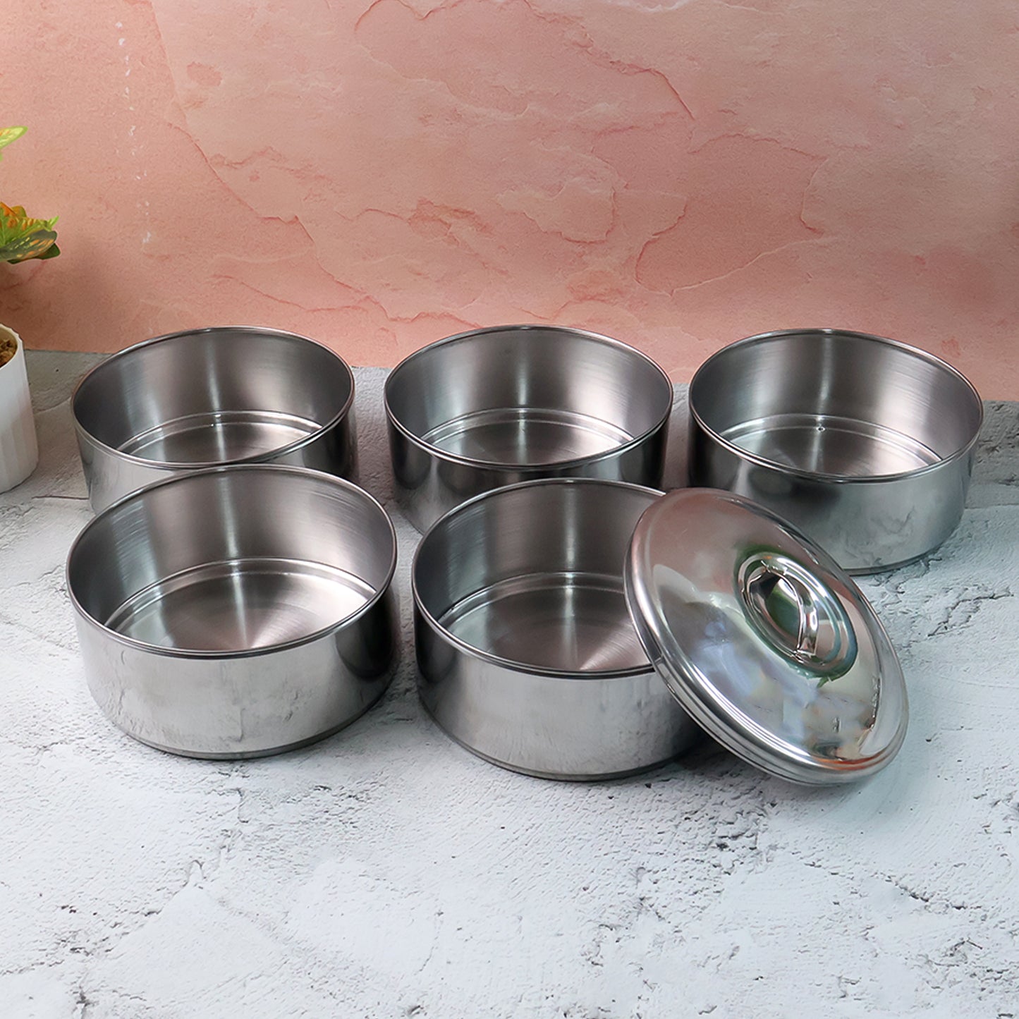 5 Compartment Lunch Box (Stainless Steel): Round Tiffin, Leakproof (16x5")