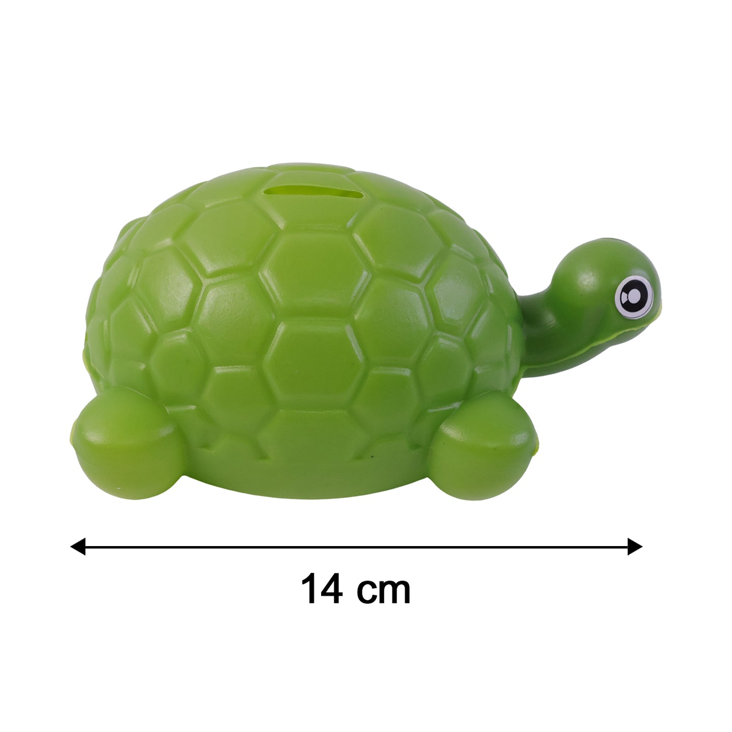 Small tortoise money bank size display