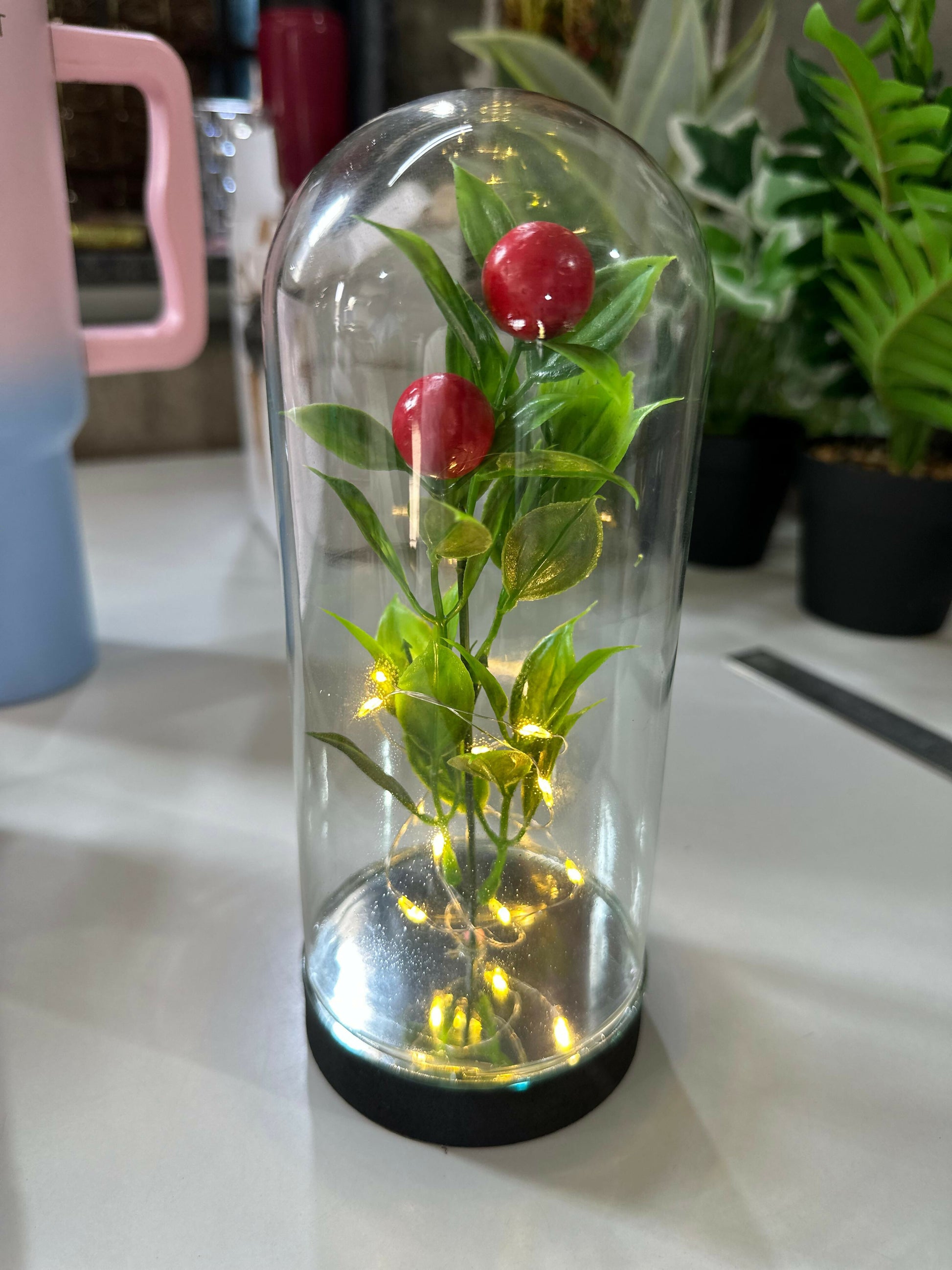Decorative Glass Dome LED Fairy Light Plant Showpiece – Artificial Pomegranate Stem with Warm Lights – Battery Operated Tabletop Home Décor, Desk Night Lamp for Living Room, Bedroom, Café, and Gift