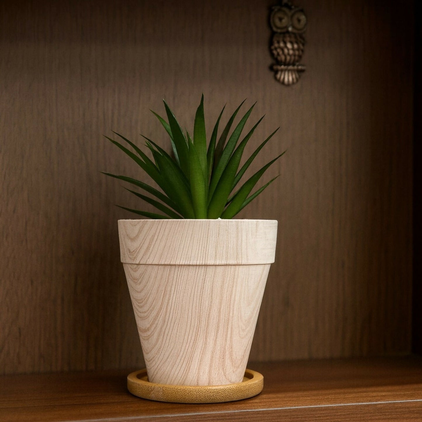 Artificial Succulent Plant with Wooden Texture Pot for Home & Office Decor