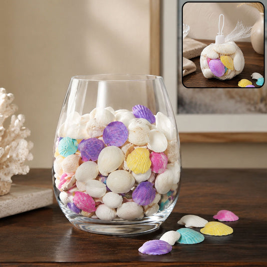 Decorative Seashells Set – Natural Vase Fillers for Home Decor