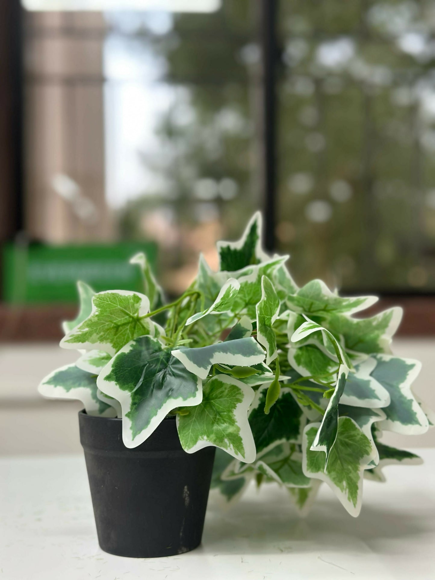 Artificial Ivy Plant in Black Pot – Realistic Variegated Green Leaves Tabletop Faux Potted Plant – Low Maintenance Decorative Plant for Home, Office, Balcony, Café, Living Room & Bathroom Décor