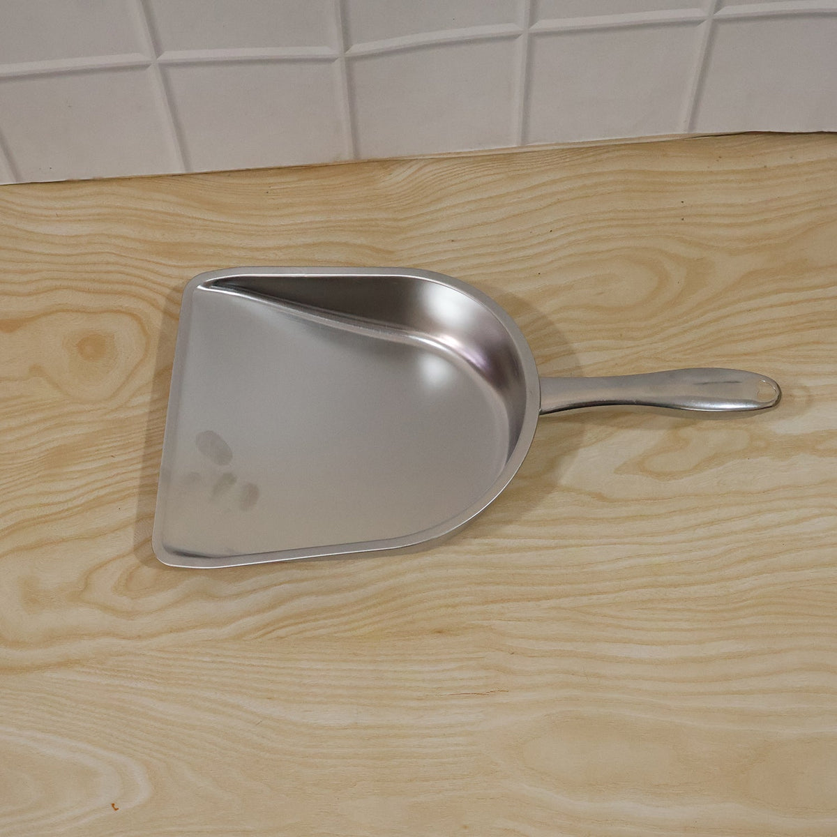 Stainless Steel Dustpan – Heavy Duty Cleaning Tool with Handle - raw live camera photo
