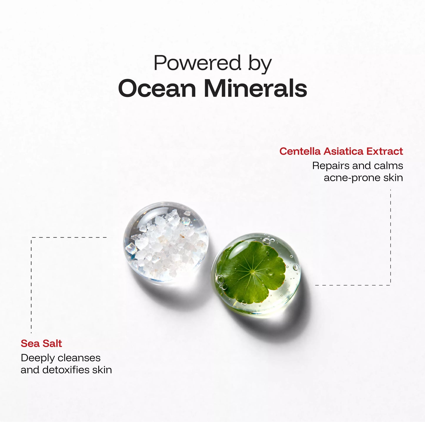 CINCINNUS Sea Salt Oil Control Fluffy Shampoo (380ML)