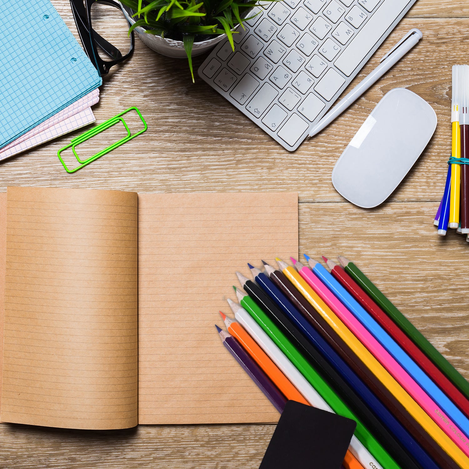 Camlin Colour Pencils – 12 Long Vibrant Shades (With Free Sharpener, Ideal for Drawing & Sketching)