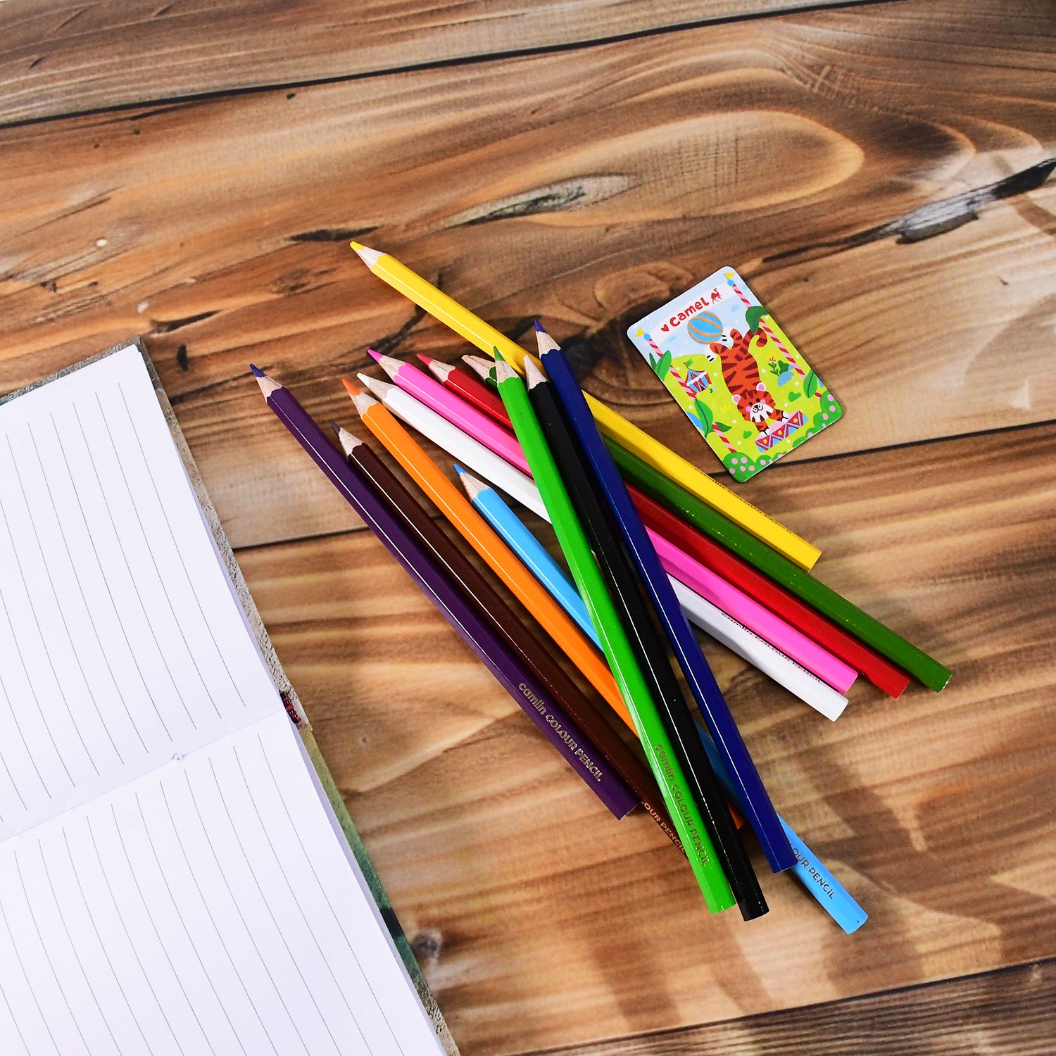 Camlin Colour Pencils – 12 Long Vibrant Shades (With Free Sharpener, Ideal for Drawing & Sketching)