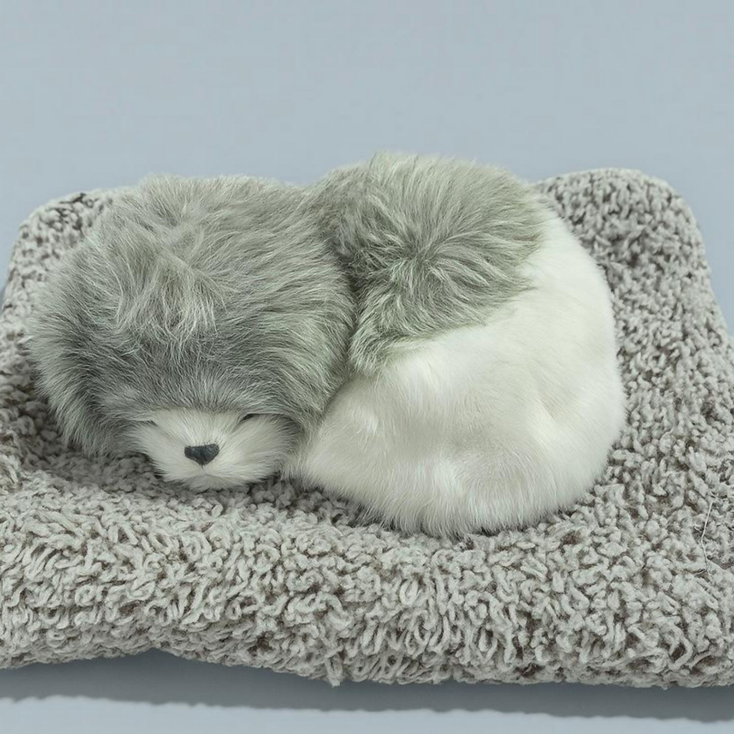 Premium Grey & White Sleeping Puppy Dashboard Toy