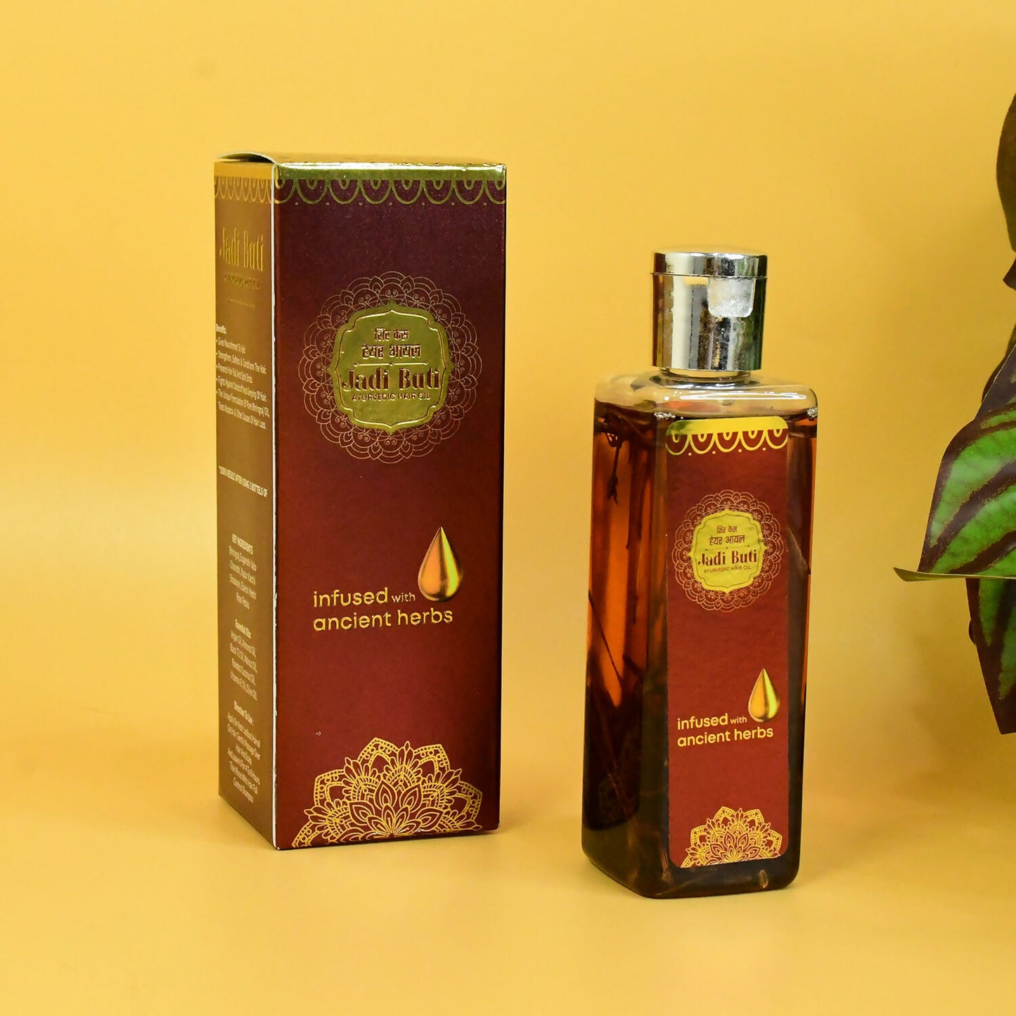 Jadi-Buti-Ayurvedic-Haie-Oil-03