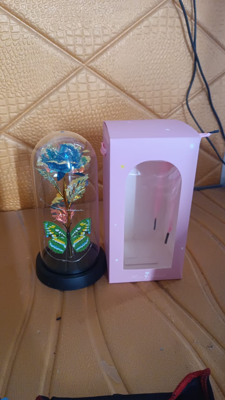 LED-Powered Eternal Rose in plastic Dome (1 Pc / Battery not Included)