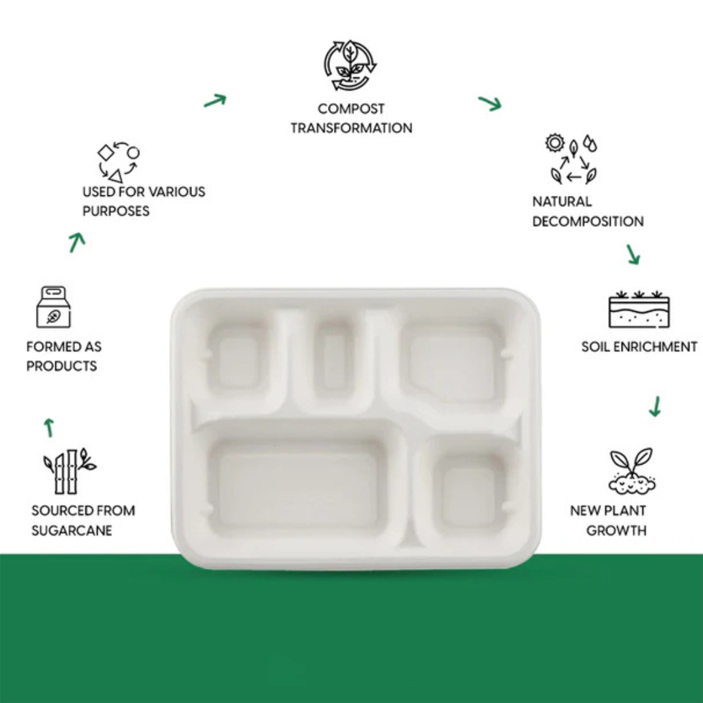 5-Compartment Rectangle Lunch Compostable Bagasse Plate – 10 Pcs Pack