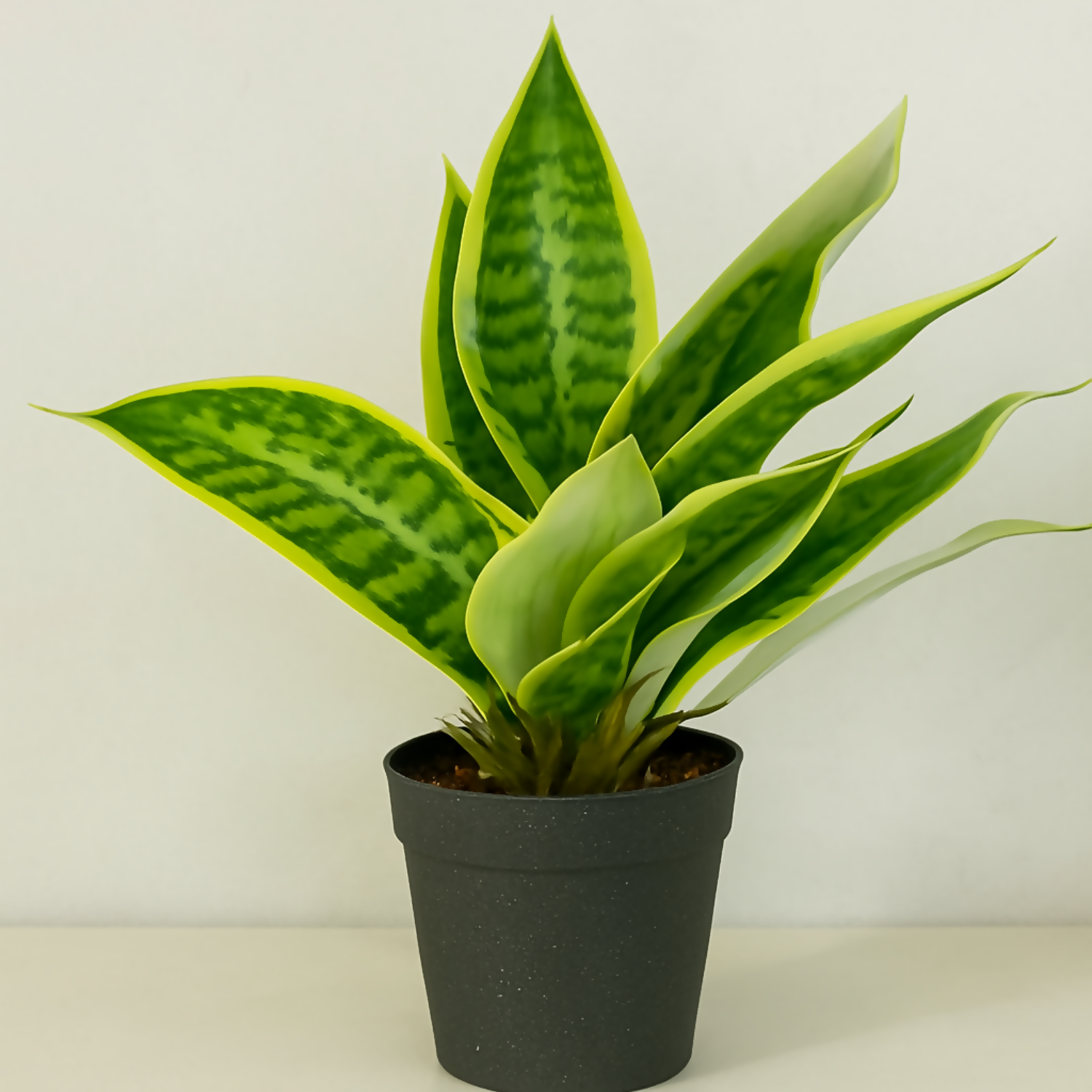 Artificial Snake Plant in Black Pot – Realistic Sansevieria Mother-in-Law’s Tongue Faux Plant – Tabletop Indoor Home Décor for Living Room, Office, Bedroom, and Balcony Decoration