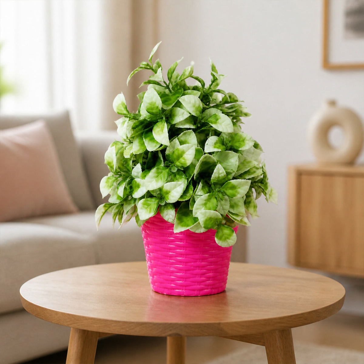 Decorative-Plant-03