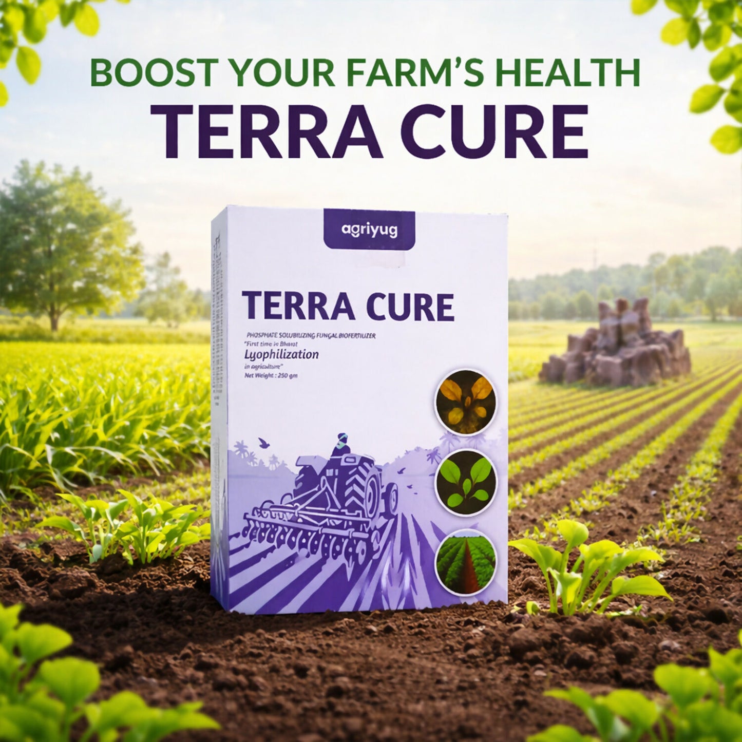 Application of soil fungus control product in agricultural field
