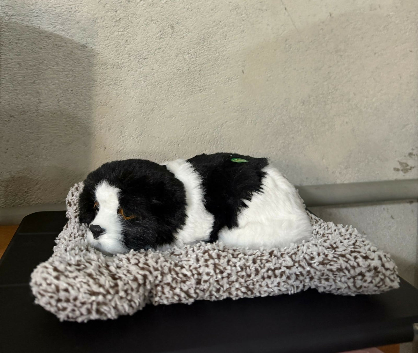 Realistic Sleeping Puppy Car Dashboard Decor Plush Toy