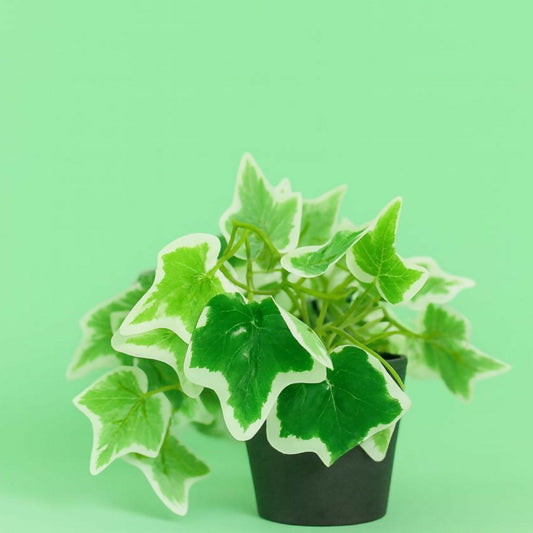 Artificial Ivy Plant in Black Pot – Realistic Variegated Green Leaves Tabletop Faux Potted Plant – Low Maintenance Decorative Plant for Home, Office, Balcony, Café, Living Room & Bathroom Décor