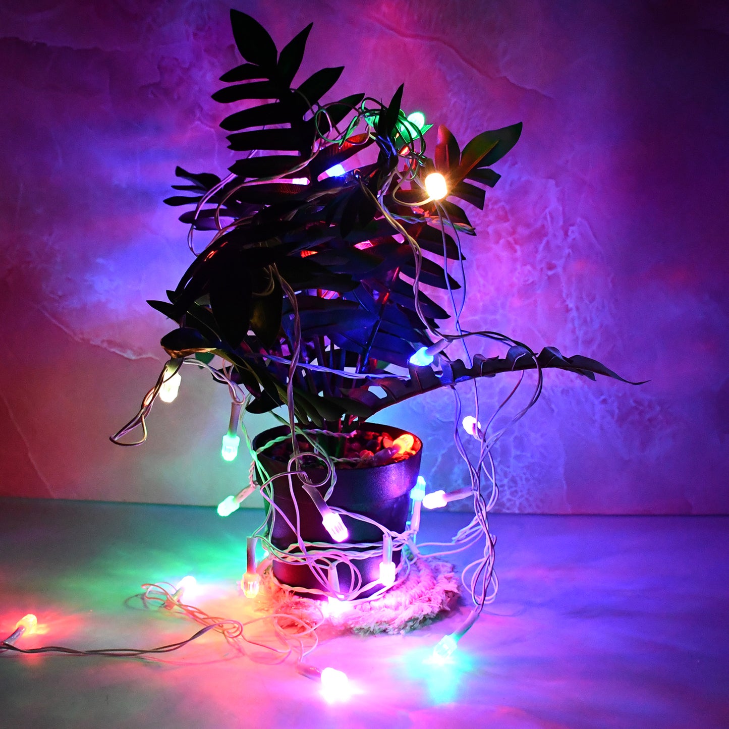 Multi-Color LED Decorative String Light (8 Meter)