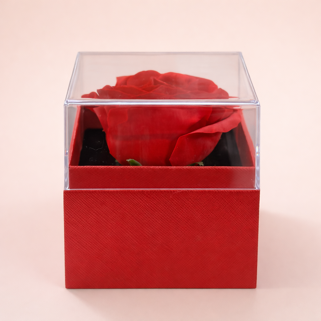 Preserved Rose Gift Box with Drawer | Decorative Showpiece for Home & Gifting