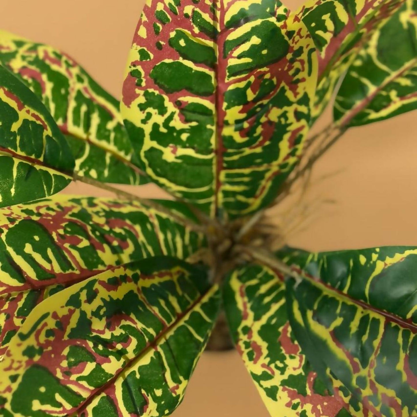 Artificial Croton Plant in White Pot – Realistic Colorful Faux Plant with Green, Yellow & Red Leaves – Tabletop Decorative Plant for Living Room, Bedroom, Office, Balcony & Café Décor