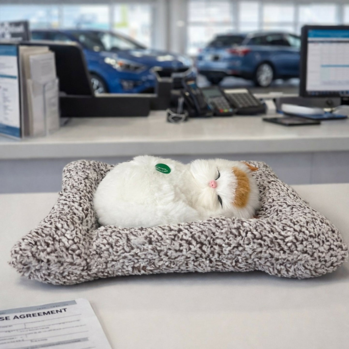 Sleeping Cat Showpiece on Soft Cushion for Home & Office Desk Decor
