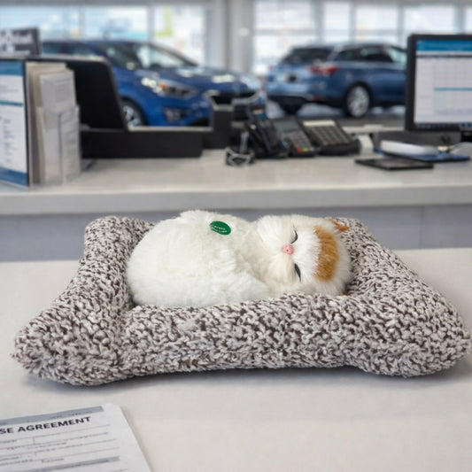 Sleeping Cat Showpiece on Soft Cushion for Home & Office Desk Decor