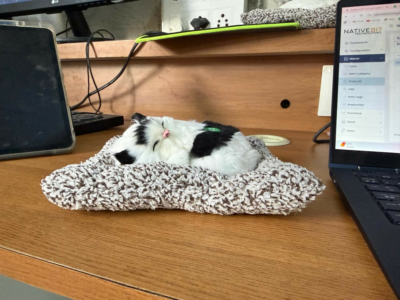 Sleeping cat plush toy shown with warm lighting