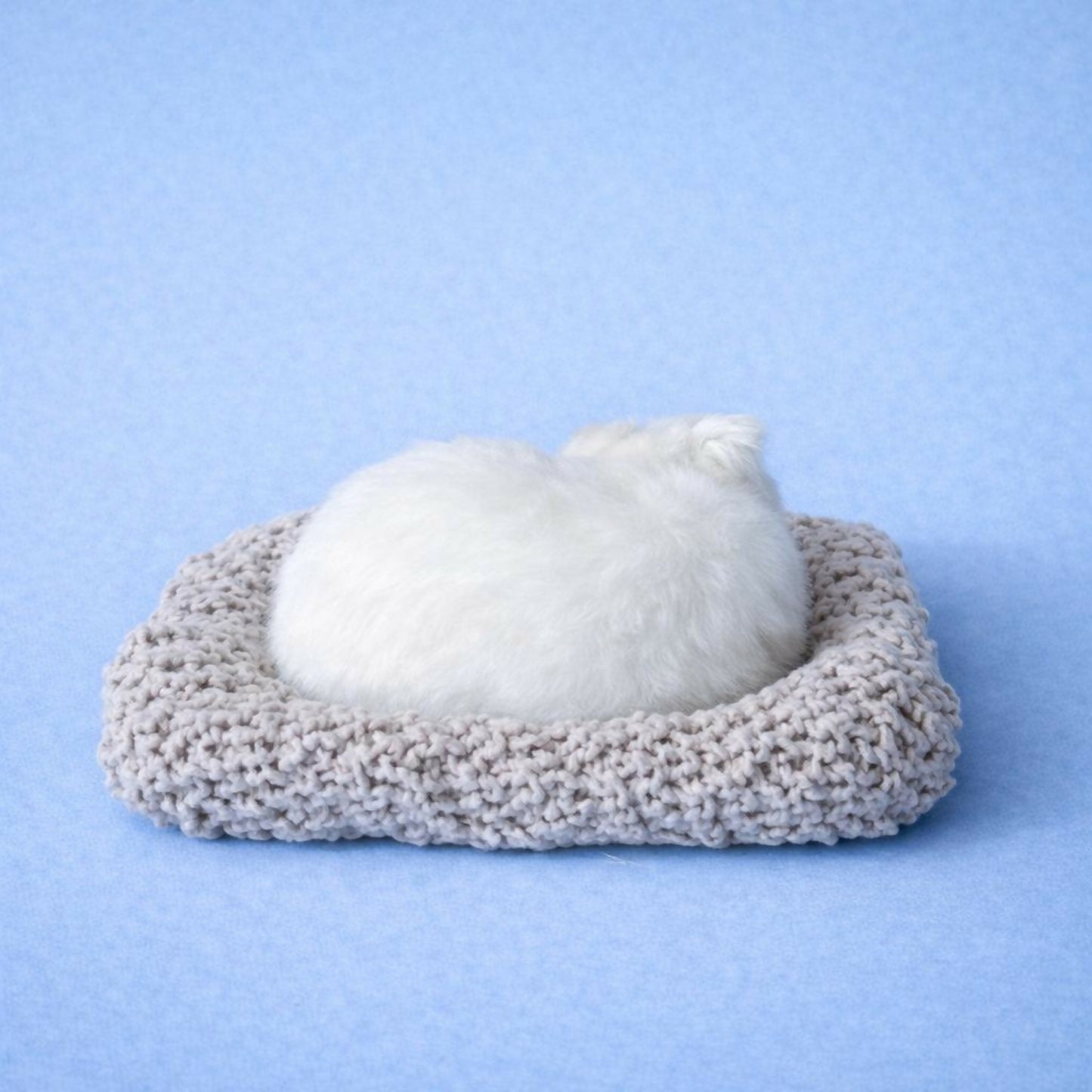Sleeping White Cat Car Dashboard Plush Cute Soft Toy Showpiece Decor