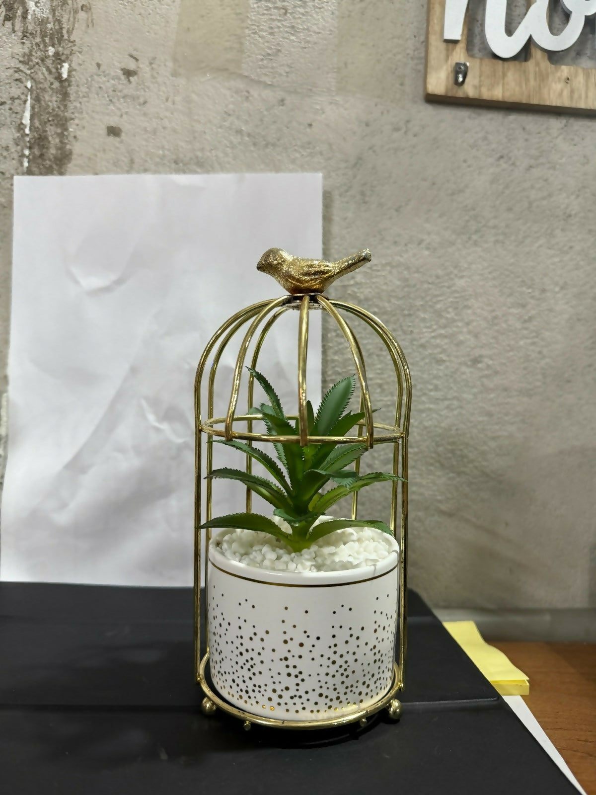 Golden Bird Cage Tabletop Planter with Decorative Pot(Color may vary)