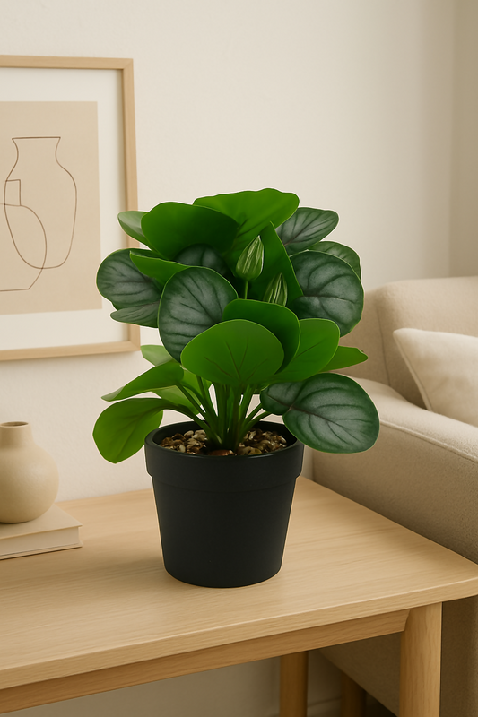 ChatGPT Image May 6, 2025, 12_27_23 PM