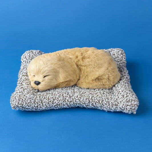 Realistic Sleeping Puppy Showpiece with Soft Cushion | Cute Decorative Puppy Figurine for Home, Office & Kids Room | Lifelike Pet Puppy Model Gift Toy for Decoration, Gifting & Table Display | Adorable Faux Puppy Ornament