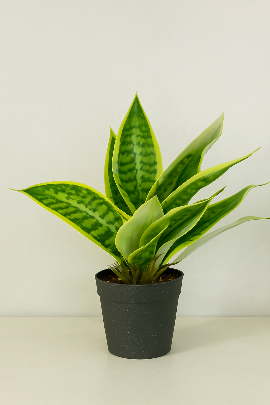 ChatGPT Image May 5, 2025, 04_36_03 PM