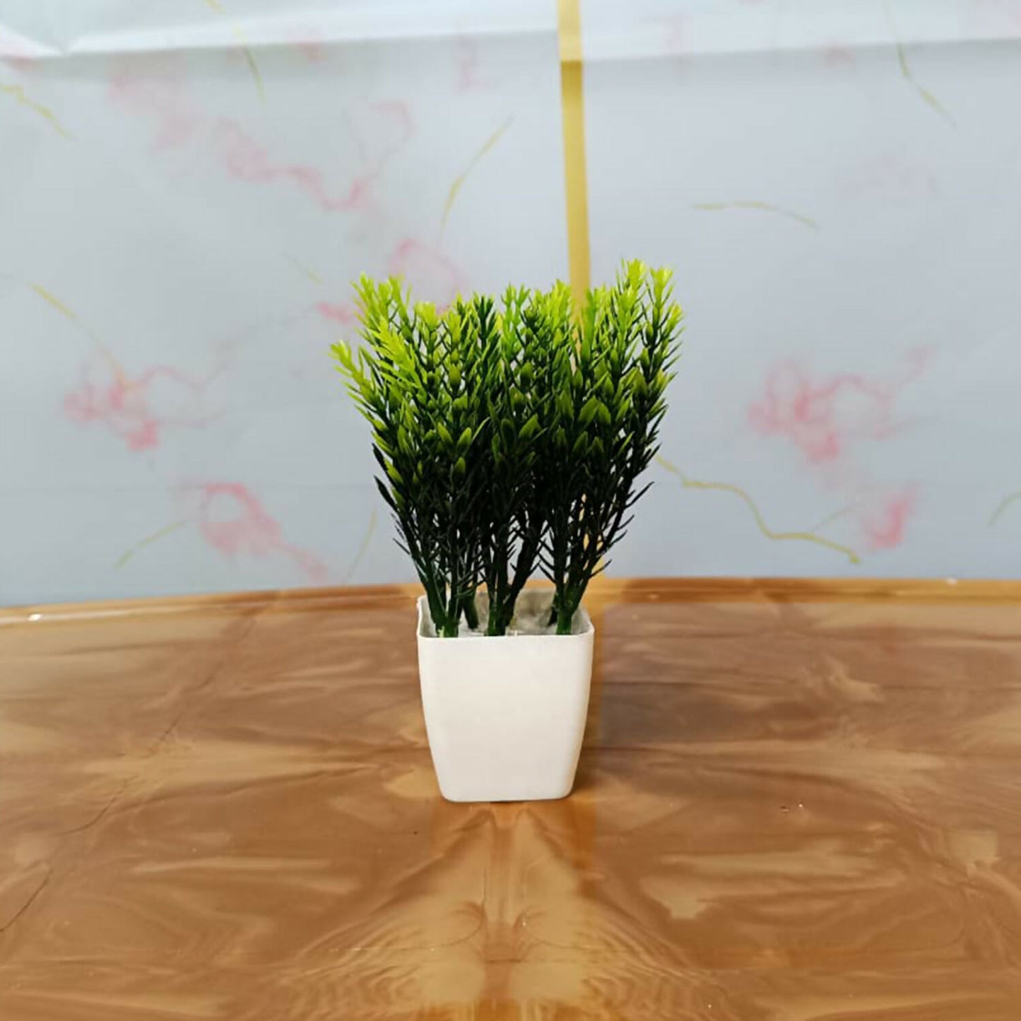 Plant-6