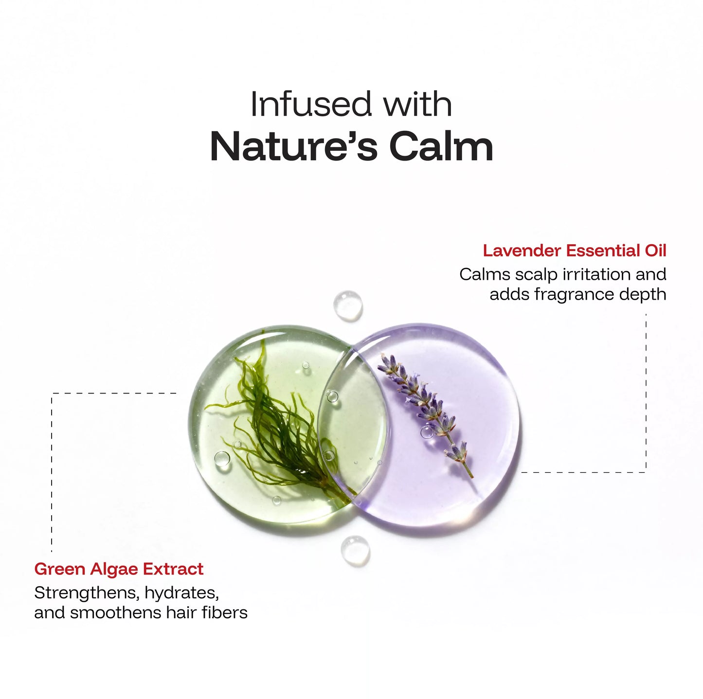 CINCINNUS Green Algae Extract Silky Smooth Shampoo