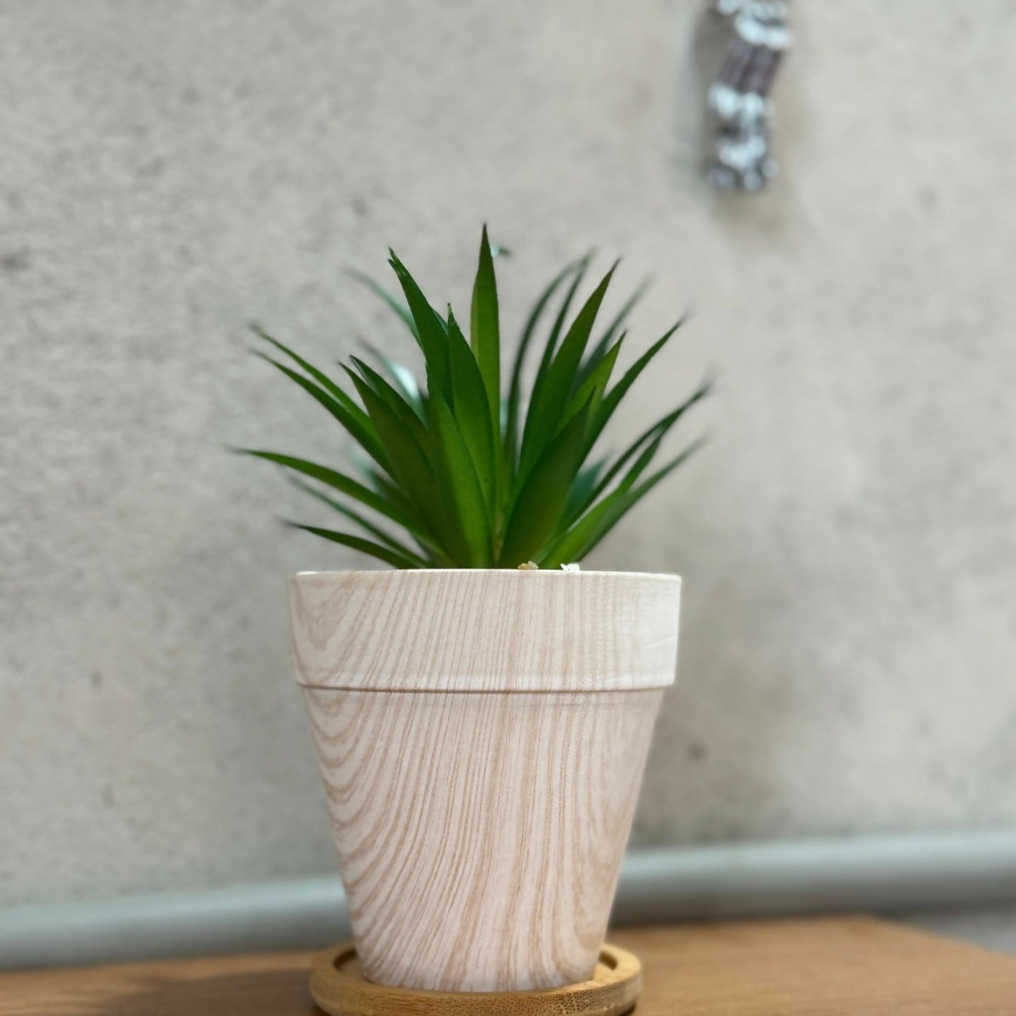 Artificial Succulent Plant with Wooden Texture Pot for Home & Office Decor