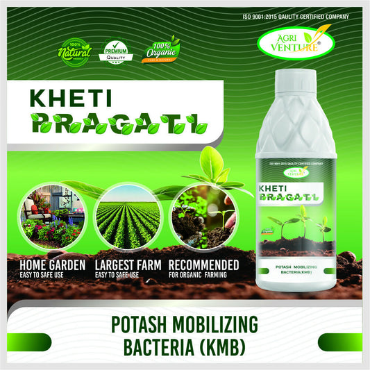 AgriVenture KHETI PRAGATI ( KMB - Potassium Mobilizing Bacteria ) Plant Growth and Development Bactericide Organic Product BIO FIRTILIZERS (1Ltr)