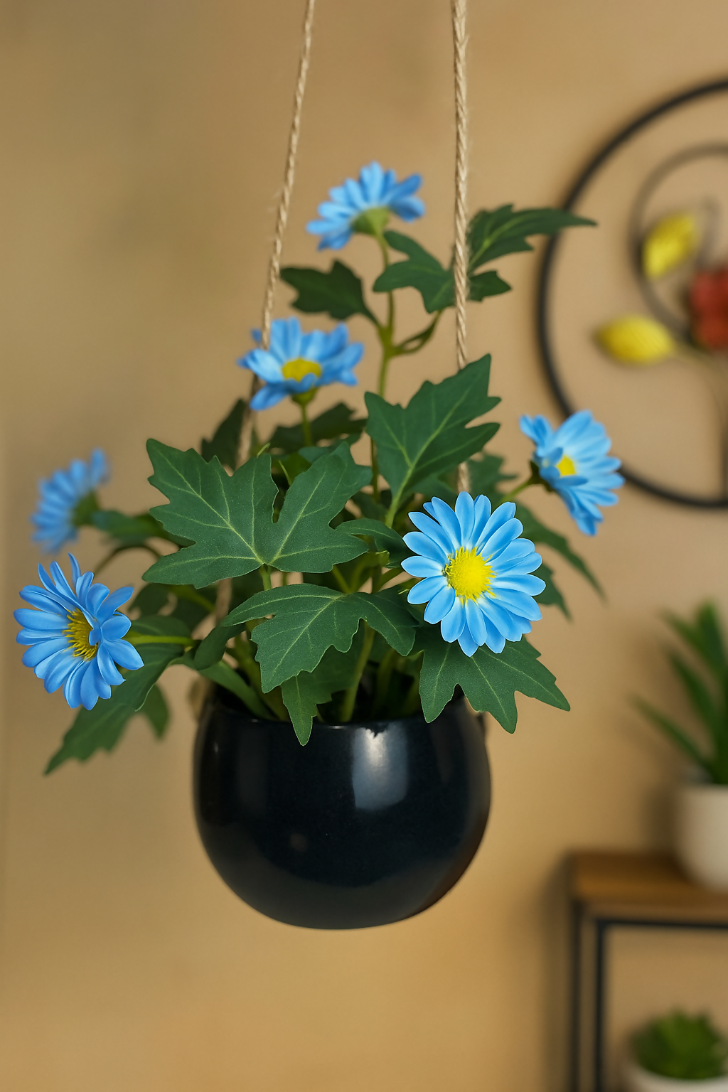 Hanging Daisy Plant with Blue Flowers