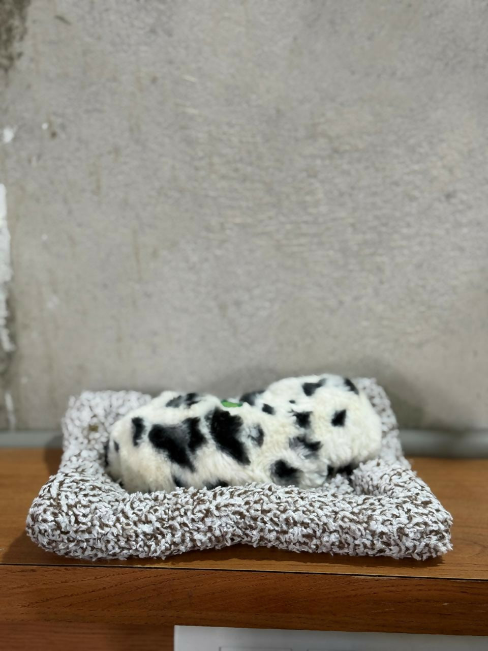 Premium Plush Dalmatian Puppy Toy Sleeping on Soft Knitted Cushion | Realistic Faux Fur Pet Dog Figurine for Home Decor, Desk Tabletop & Gift | Handcrafted Decorative Sleeping Puppy Model – Cute Animal Showpiece